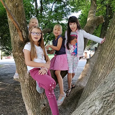 dzieci na drzewie